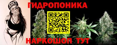 винт Можга