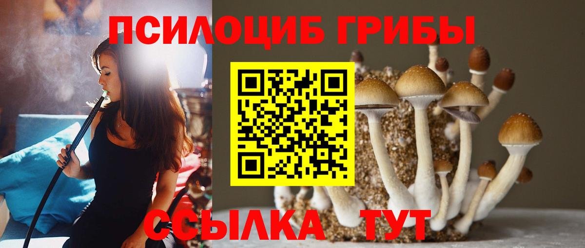 Химки  Псилоцибиновые грибы Psilocybine cubensis  Вход с VPN 